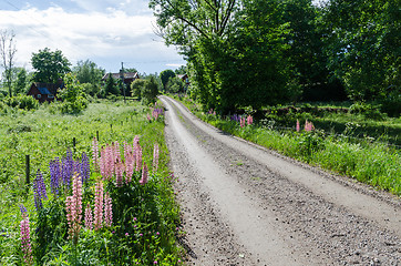 Image showing Beautiful road to the village