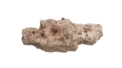 Image showing Tree bark isolated