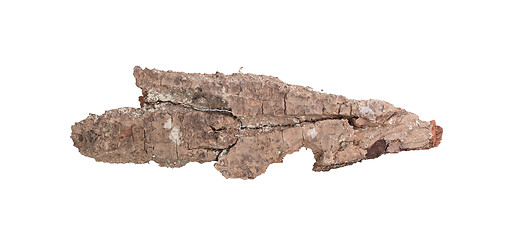 Image showing Tree bark isolated