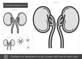 Image showing Human kidneys line icon.