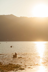 Image showing Fisherman on Fewa Lake, Pokhara, Nepal