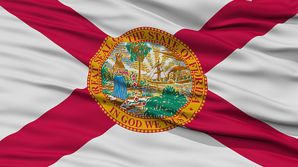 Image showing Closeup Florida Flag, USA state