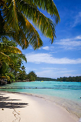 Image showing Paradise tropical beach and lagoon in Moorea Island