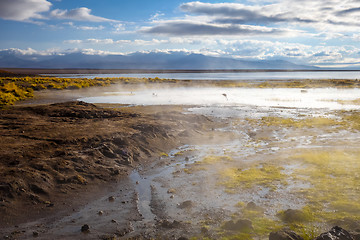 Image showing Lake in sol de manana geothermal field, sud Lipez reserva, Boliv