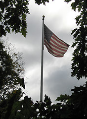 Image showing old glory