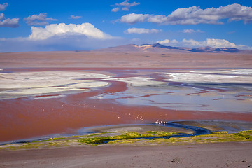 Image showing Laguna colorada in sud Lipez Altiplano reserva, Bolivia