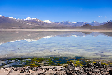 Image showing Clear altiplano laguna in sud Lipez reserva, Bolivia