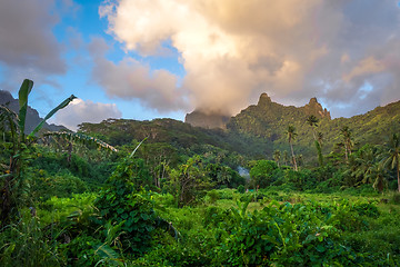 Image showing Moorea island jungle and mountains landscape