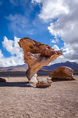 Image showing Arbol de Piedra in Siloli desert, sud Lipez reserva, Bolivia