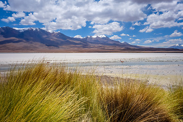 Image showing Laguna Honda in sud Lipez Altiplano reserva, Bolivia