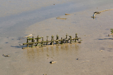 Image showing Mud at Low Tide