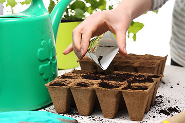 Image showing Pot peat, natural crops