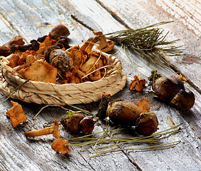 Image showing Arrangement of Dried Mushrooms