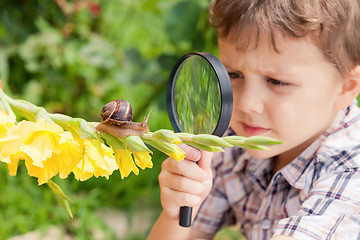 Image showing Happy little boy playing in the park with snail at the day time.