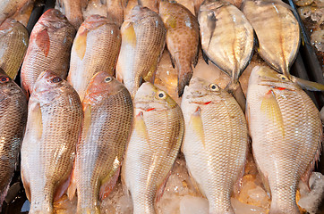Image showing Fresh fishes just caught from sea are being sold at a market