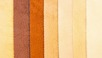 Image showing Leather 1