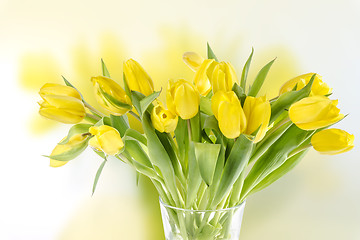 Image showing Beautiful yellow tullips 