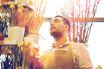 Image showing florist man with narcissus flowers at flower shop