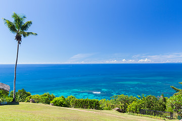 Image showing view to indian ocean from island with palm tree