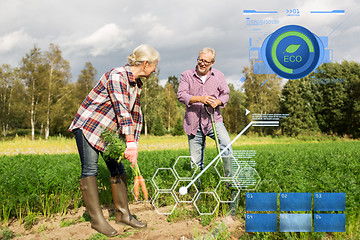 Image showing senior couple with shovel picking carrots on farm