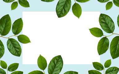 Image showing white blank space and green leaves on blue