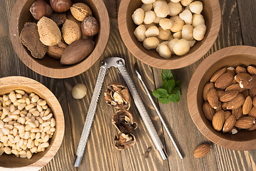 Image showing Mixed Nuts Pine Almonds Macadamia Walnuts Nutcracker