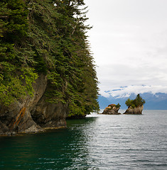 Image showing Rocky Buttes Kenai Fjords North Pacific Ocean Alaska