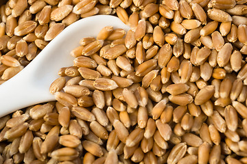 Image showing Red Wheat Berries White Spoon Wooden Bowl