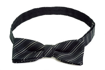 Image showing Bow tie