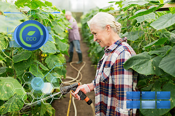 Image showing senior couple with garden hose at farm greenhouse