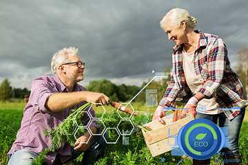 Image showing senior couple with box of carrots on farm