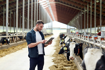 Image showing young man with tablet pc and cows on dairy farm