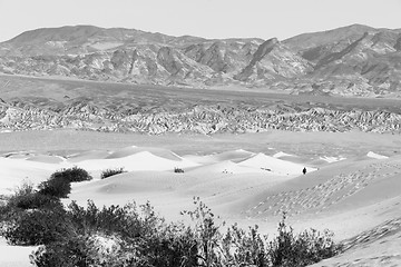 Image showing Lone Man Walks Sand Dunes Death Valley