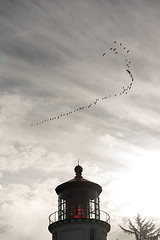 Image showing Geese Migrate Formation over Pacific Coast Lighthouse