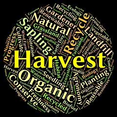 Image showing Harvest Word Means Produce Grains And Gather