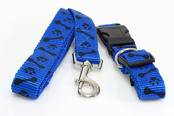 Image showing Dog leash