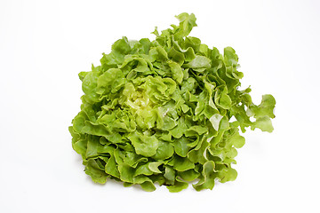 Image showing Fresh geen salad