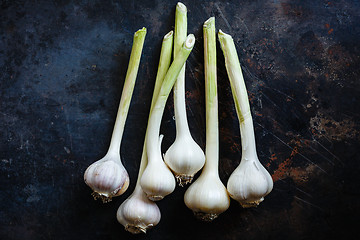 Image showing Garlic close up