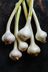 Image showing Garlic close up