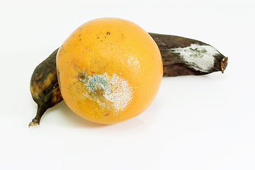 Image showing Rotten Fruits