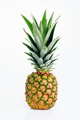 Image showing Pineapple