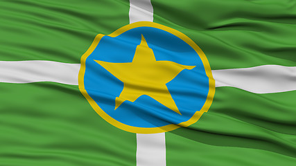 Image showing Closeup Jackson Flag