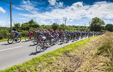 Image showing The Peloton - Tour de France 2016