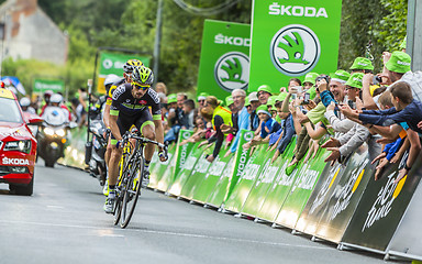 Image showing The Cyclist Armindo Fonseca - Tour de France 2016