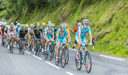 Image showing The Peloton - Tour de France 2014