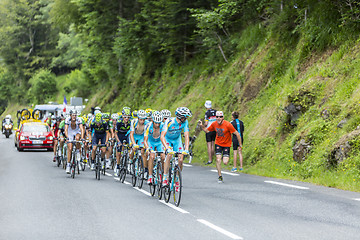 Image showing The Peloton - Tour de France 2014