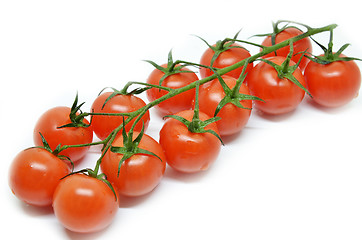 Image showing Red cherry tomato