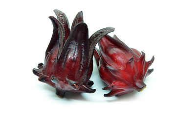 Image showing Hibiscus sabdariffa or roselle fruits