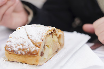 Image showing Slice of traditional apple strudel