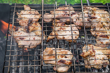 Image showing Chicken grilled on a coals